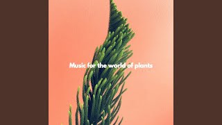 Groovy Guitar Bossa Nova Trio - Vibe for Wonderful Throwbacks