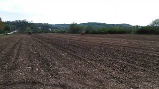 Svodna Ogled Pionira