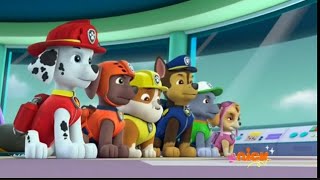 PAW Patrol: Rubble's Tummy's Ready For Action.