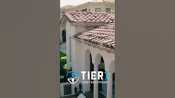 Mosquito Misting System