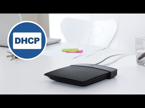 Habilitar DHCP del Router