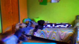 Capture 20150818 1