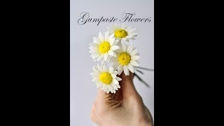 Gumpaste Flowers tutorial.Sugar flowers.Ромашка из мастики.Легкий способ.