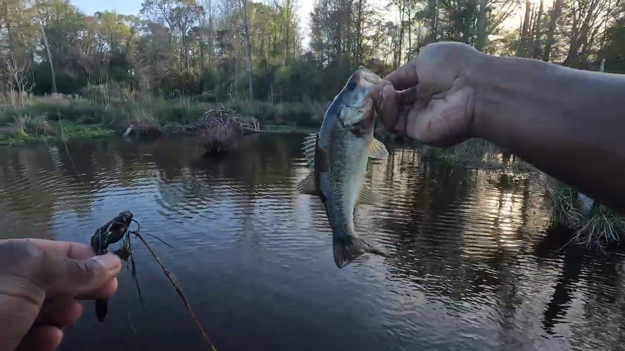 First bass fishing outing of the year went good!