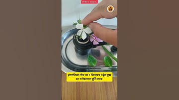 हरतालिका तीज मनोकामना पूर्ति उपाय #shiv #pradeepmishra #shorts #trending #viral #hartalikateej