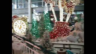 DSCF5286