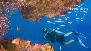 Escape To Asias Best Beach With Barefoot Resorts Andaman Island - Havelock