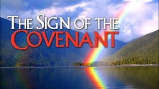 Reflections on Genesis 9:8-17 Genesis 9 8 17 Commentary