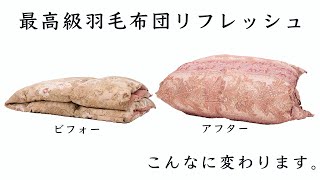 こんなに変わります/最高級羽毛布団リフレッシュ