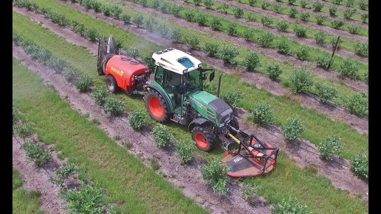 Heidelbeeren | Fendt 210 F Vario | Mitterer | Pflanzenschutz | Mulchen | *GoPro*DJI*Cabview*