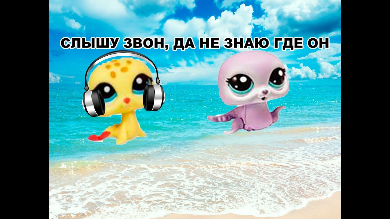 Littlest Pet Shop рубрика"Слышу звон,не знаю где он". - YouTube