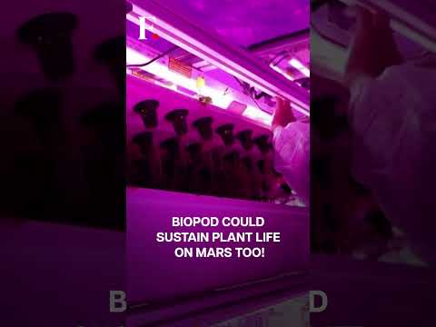 Can We Grow Plants On Mars? French Firm Proposes Spaceship-Type Pod | Subscribe to Firstpost Can We Grow Plants On Mars? French Firm Proposes Spaceship-Type Pod | Subscribe to Firstpost