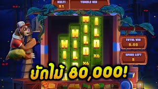 Sloth Tumble - Relax Gaming