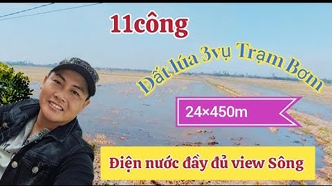 Chào bán gấp lô đất Diện tích: 11công đất lúa 3vụ Tại xã thạnh Hưng kiến tường Long An #bdslongan