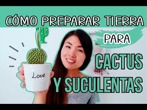 Cómo preparar tierra para cactus y suculentas