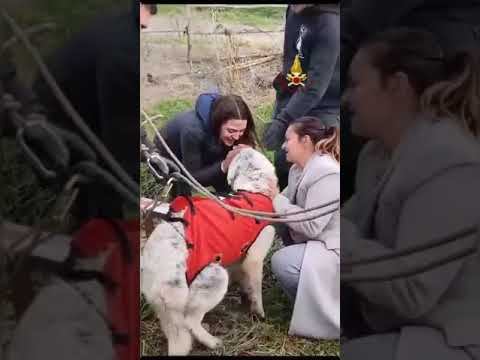 Roma cane salvato dopo la caduta in un pozzo