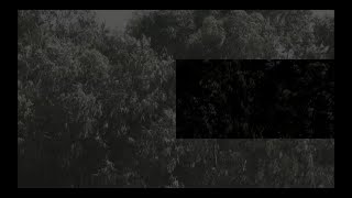 01 Monoiz - Voma a/v