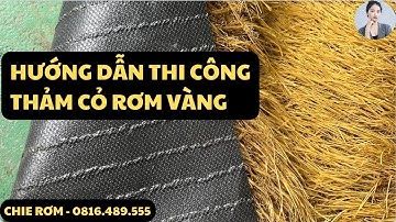 Hướng dẫn thi công thảm cỏ rơm vàng nhân tạo lợp mái chống nóng chống ồn #rom_chống_nóng #decor