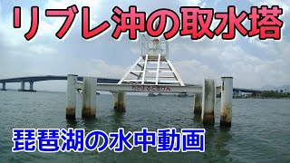 【琵琶湖の水中動画】リブレバスクラブ前の取水塔