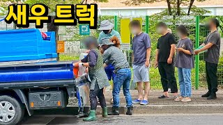 줄서서 배급받는 새우 트럭의 정체, 과연 먹을만할까?(feat.풍미작렬 새우구이)