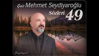 Evet; Anaya Sevgi, Babaya Saygı Dedi.ya Evlada?’ Şair Mehmet Seydiyaroğlu - 49