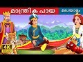 മാന്ത്രിക പായ | Fairy Tales in Malayalam | Malayalam Fairy Tales