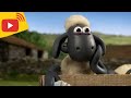 LIVE Shaun The Sheep Farm TV Shaun The Sheep Cartoons For Kids Preschool New Stream 