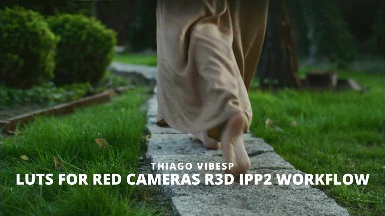 Professional Looks Red Cameras R3D Ipp2 Workflow YouTube
