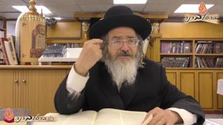 הרב ברנר | הדיבורים של הצדיק | 0173