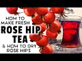 Zubereitung Von Hagebuttentee Trocknung Von Hagebutten Frischer Und Getrockneter Hagebuttentee Zubereitung Von Hagebuttentee Trocknung Von Hagebutten Frischer Und Getrockneter Hagebuttentee