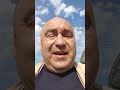 вашингтонский петух