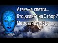 Атака на человеческие клетки. Кто влияет на Отбор? Меморандум ВЦ.