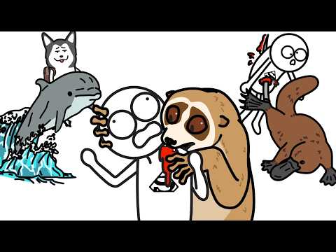 Are Loris Poisonous