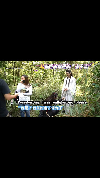 the difference#bjyx #yizhan  #xiaozhan #wangyibo #theuntamed #cdrama #bjyxszd