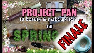 Project 10 Pan Finale || Use Up 10 Products Till Spring