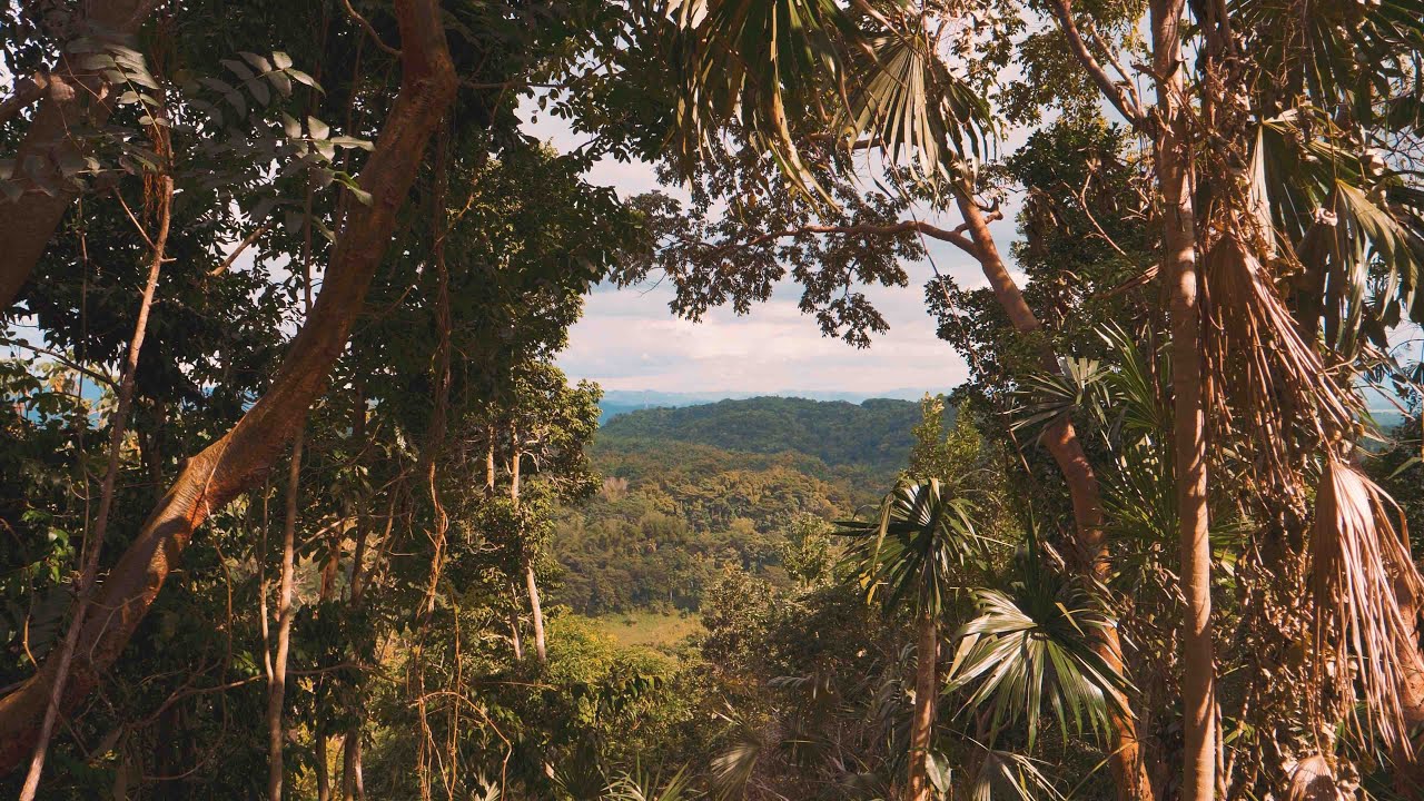 Cannabis Hotels Presents: Zimbali Retreats