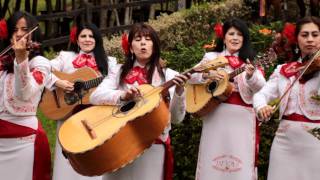 Mariachi Divas de América- Mi padre es el mejor chords