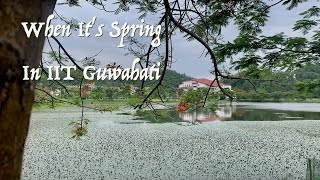 When It&#39;s Spring In IIT Guwahati | Life at IIT Guwahati | Most Beautiful Campus | Cinematic Video
