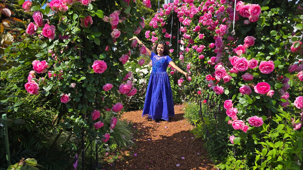 Amazing Rose Garden in Japan 🌹🌹 - YouTube