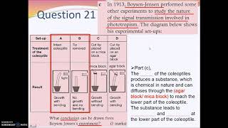 [DSE] Chapter 15 Detecting the Environment Assignment Part 2 (Cantonese)