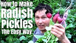 How to Make Radish Pickles the Easy Way