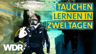 Kann es Johannes  Tauchen | WDR