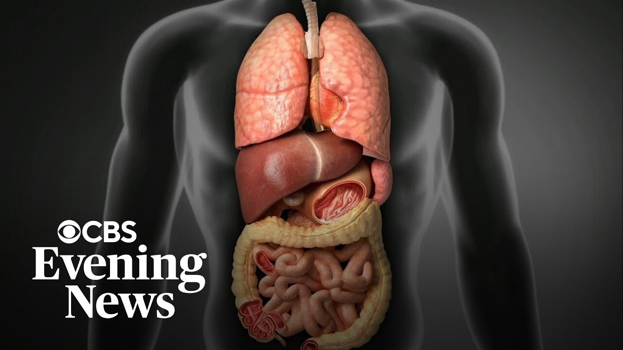 Ozempic and Wegovy ingredient may reverse liver disease Ozempic and Wegovy ingredient may reverse liver disease