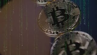 Bitcoin and frozen turkeys | Indiana crypto currency investigation stops massive poultry theft