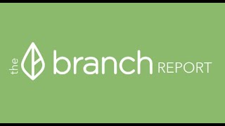 #odoo #ERP #تقارير المحاسبة المالية بفلتر مجموعة الفروع-او الفرع الواحد-ادارة سهلة ومتميزة للفروع screenshot 1