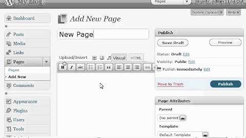 Managing pages in WordPress by VodaHost web hosting