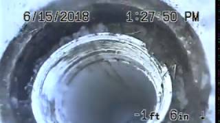 1428 N 46th St. Seattle, WA 98103