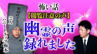 【ハニトラ梅木怖い音声】幽霊の声 人によって聴こえ方が違う『島田秀平のお怪談巡り』