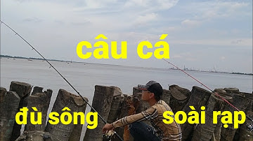 câu cá đù, lịch cũ sông soài rạp hiệp Phước nhà bè phía sau khu chung cư / câu cá thiên nhiên