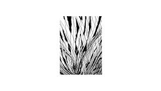 stippling - stippling (full album)